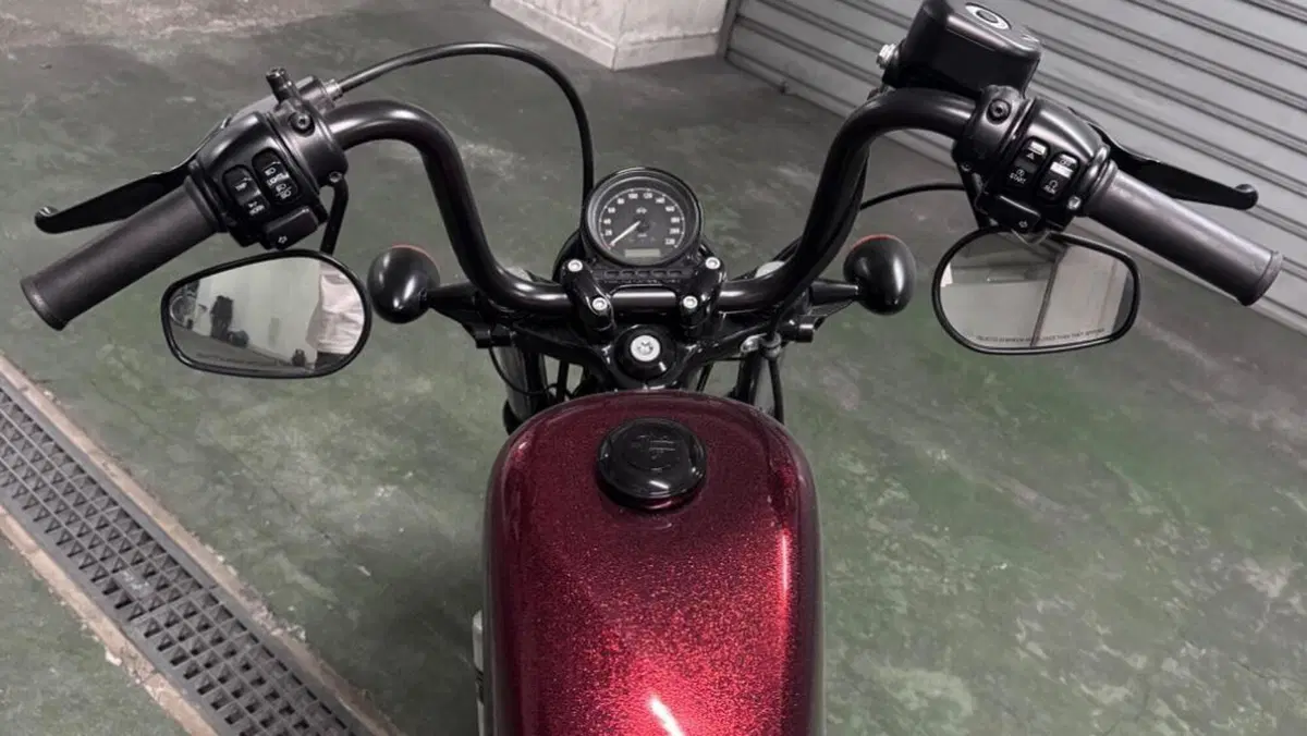 Harley-Davidson 1200 Forty-Eight (2010 - 15)  (9)