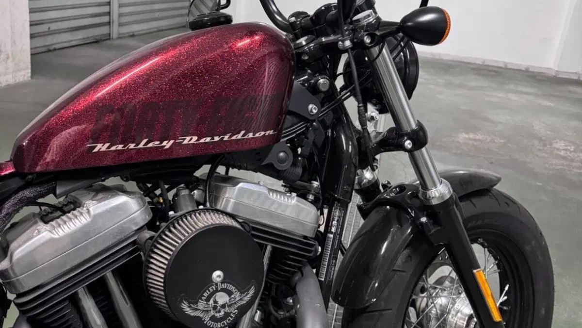 Harley-Davidson 1200 Forty-Eight (2010 - 15)  (10)