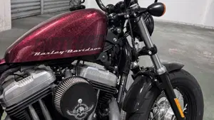 Harley-Davidson 1200 Forty-Eight (2010 - 15)  (10)
