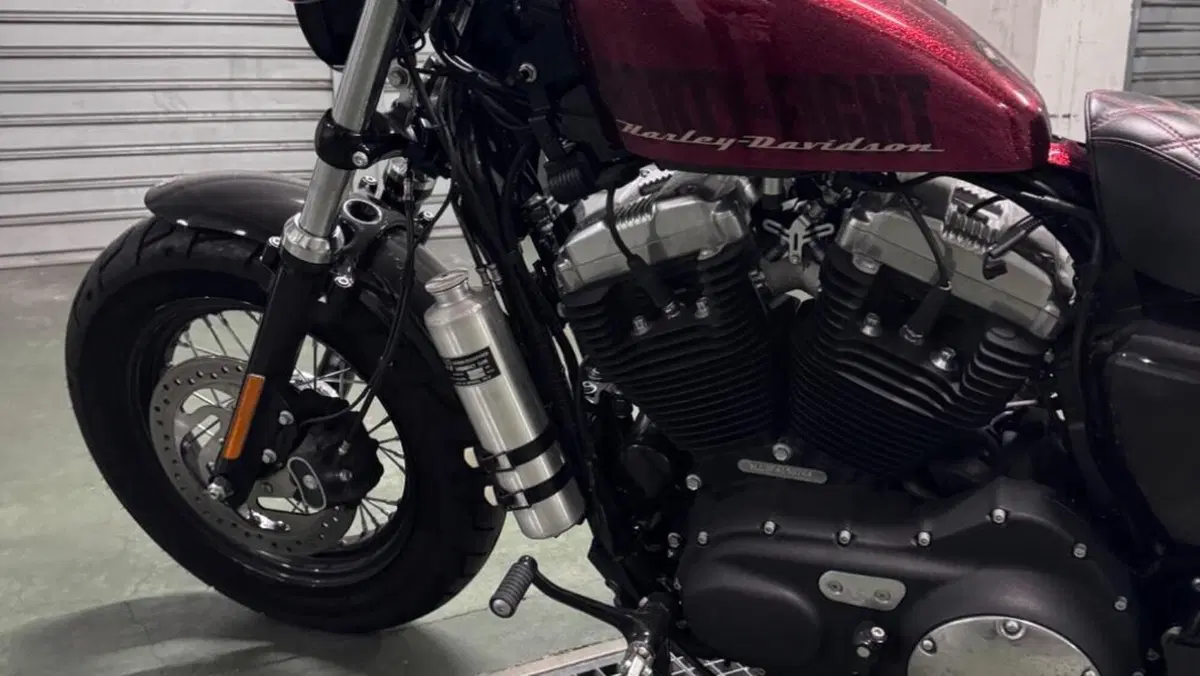 Harley-Davidson 1200 Forty-Eight (2010 - 15)  (12)