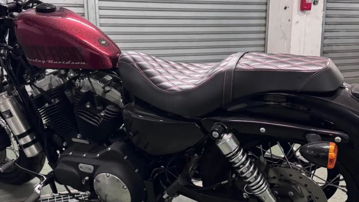 Harley-Davidson 1200 Forty-Eight (2010 - 15)  (13)