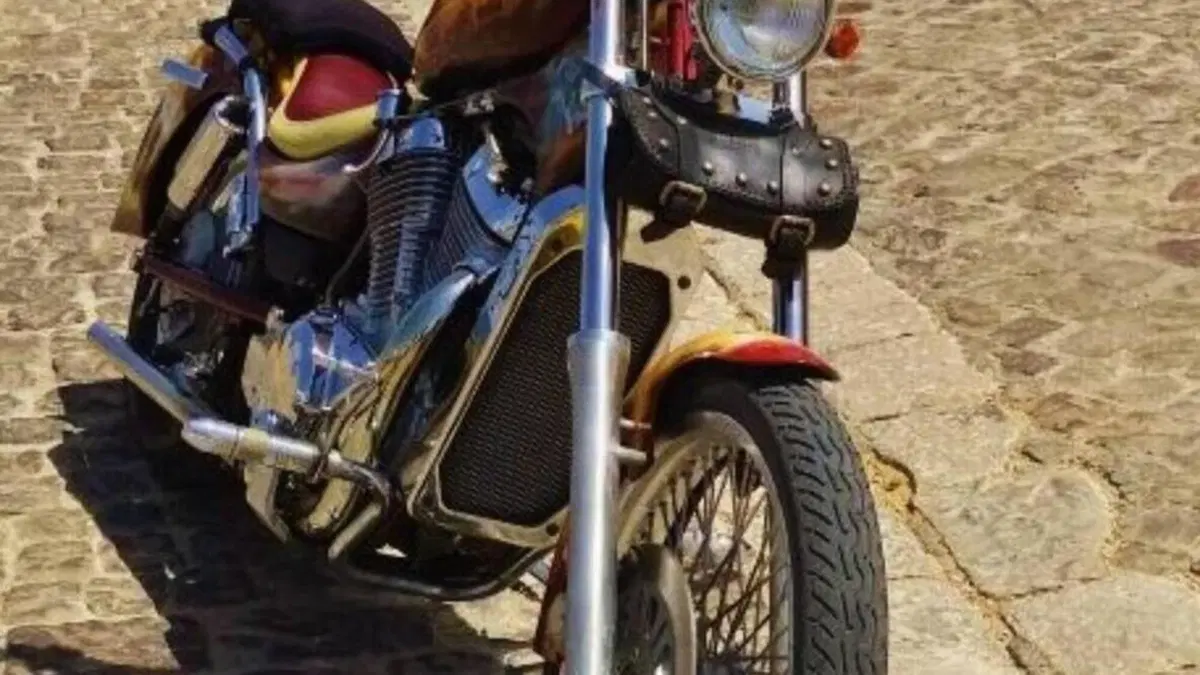 Suzuki VS 800 GL Intruder (1994 - 98)  (2)