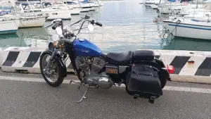 Harley-Davidson   (3)