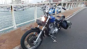 Harley-Davidson   (5)