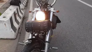 Harley-Davidson   (6)
