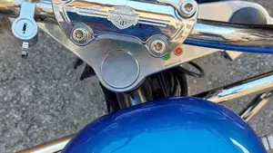 Harley-Davidson   (10)