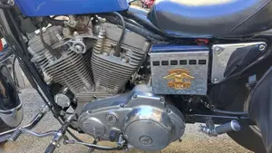 Harley-Davidson   (11)