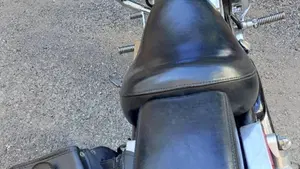 Harley-Davidson   (12)