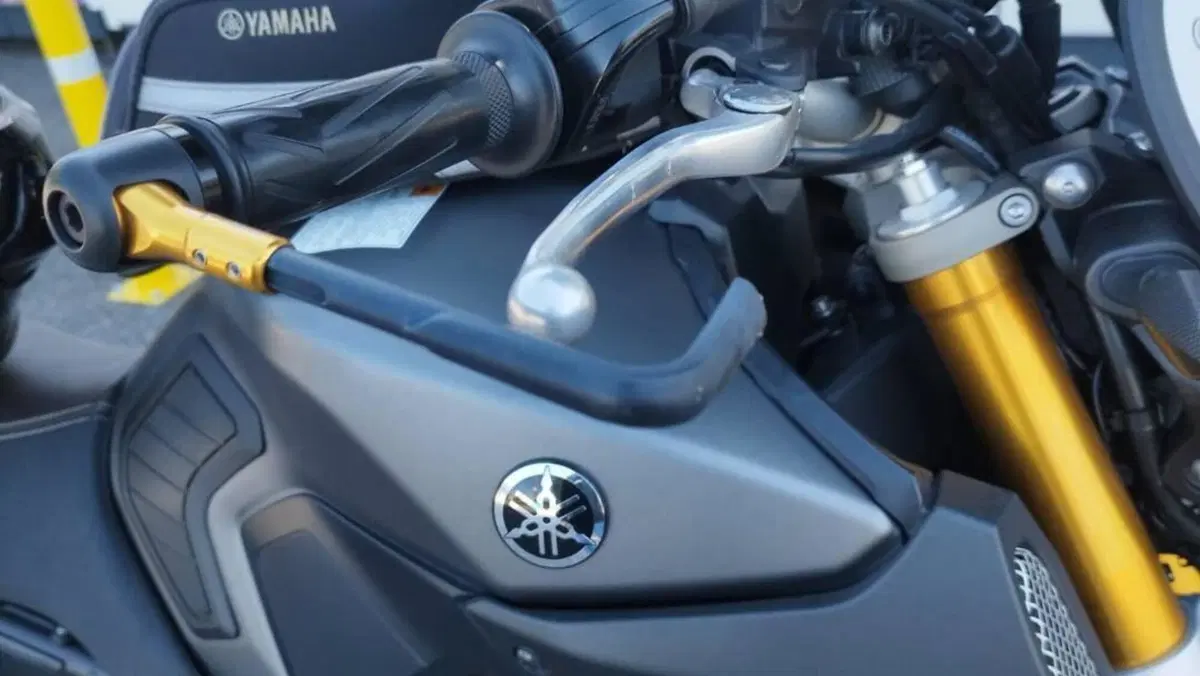 Yamaha MT-09 Sport Tracker (2014 - 16)  (6)