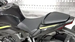 Kawasaki Ninja 125 (2025 - 26)  (4)