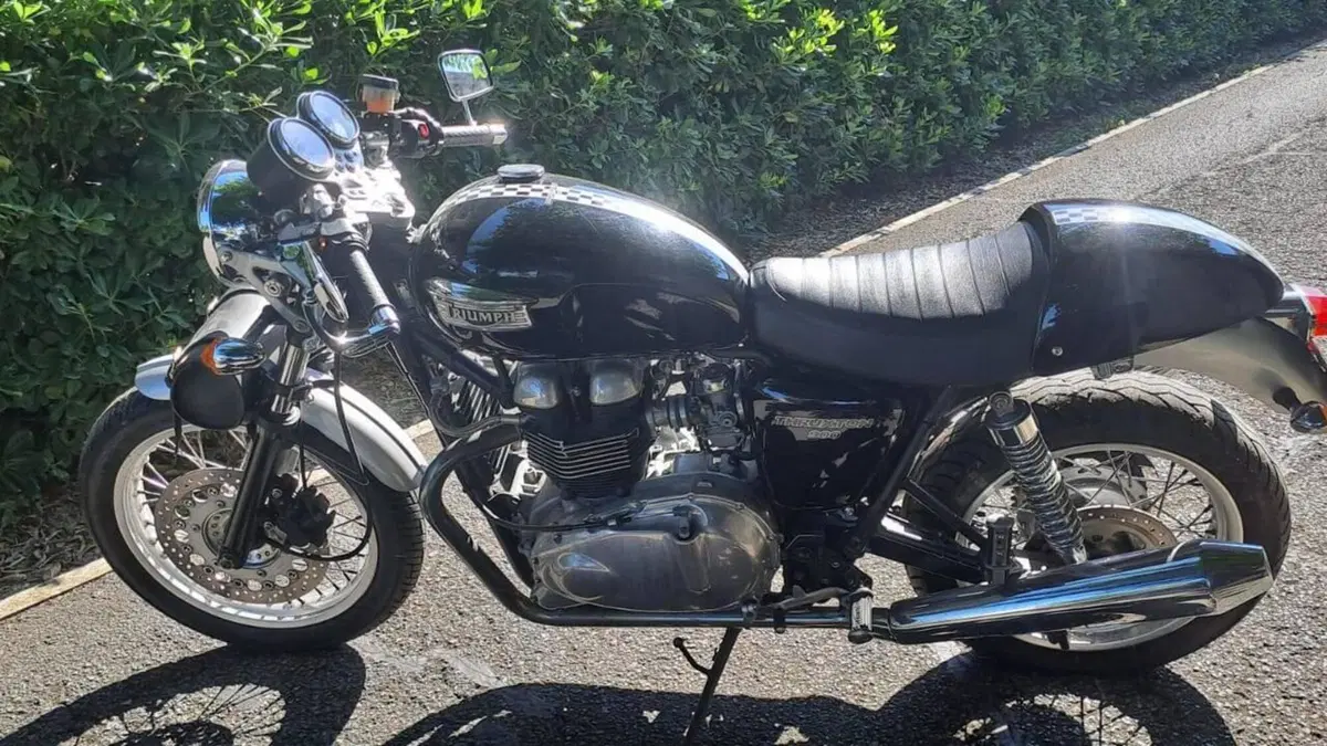 Triumph Thruxton 900 (2004 - 15)  (8)