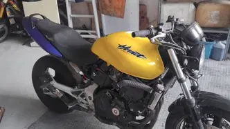 Honda Hornet 600 (2000 - 02) usata