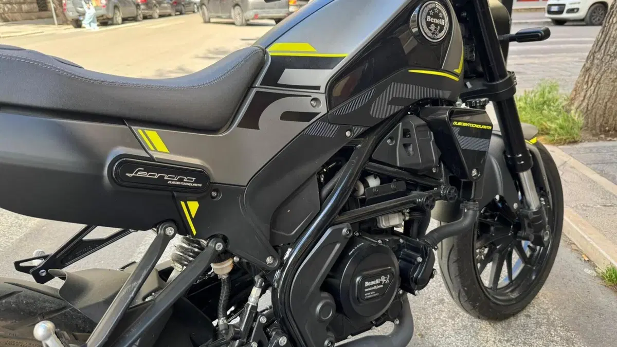 Benelli Leoncino 250 (2021 - 25)  (4)