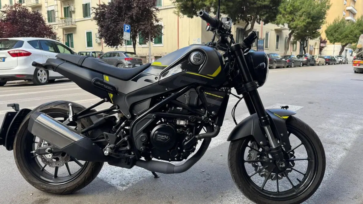 Benelli Leoncino 250 (2021 - 25)  (6)