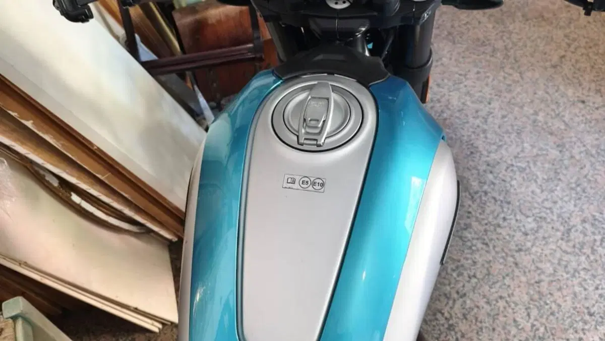 Ducati Scrambler 800 Icon (2023 - 24)  (7)