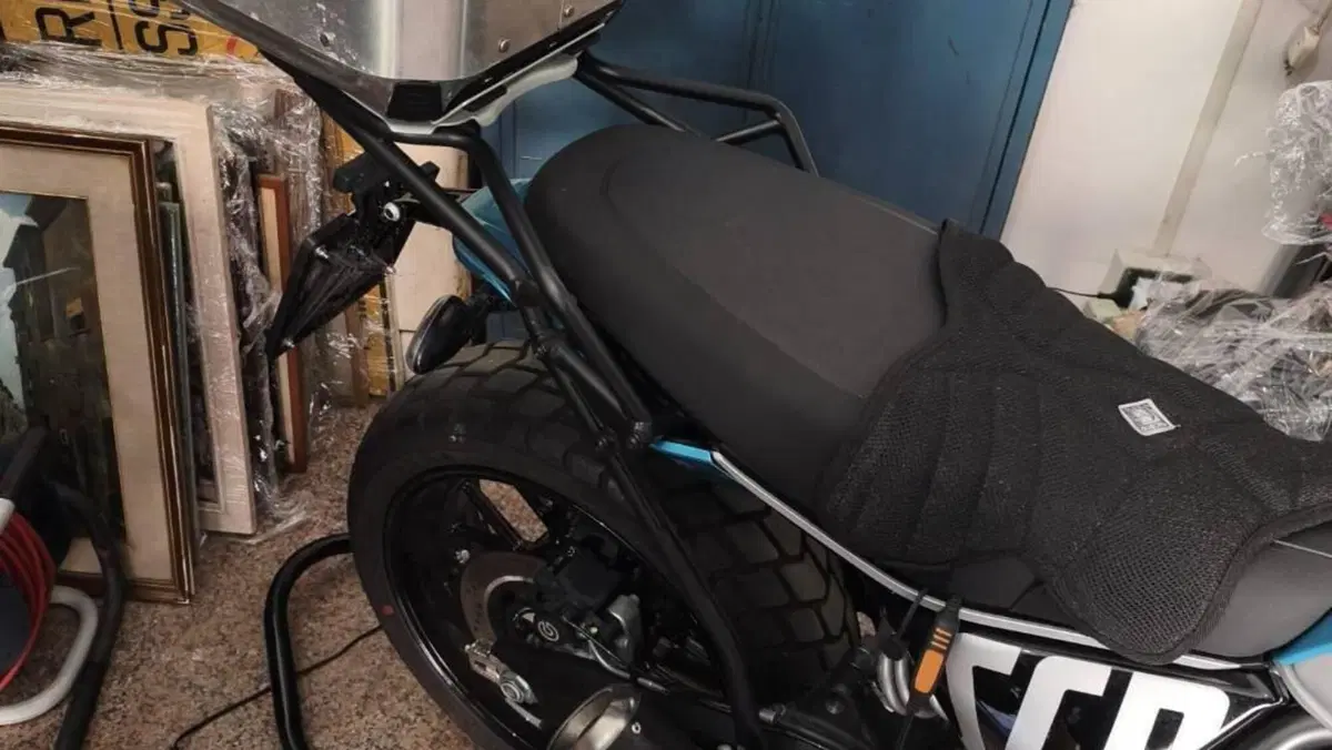 Ducati Scrambler 800 Icon (2023 - 24)  (8)