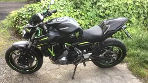 Kawasaki Z 650 (2020)  (2)
