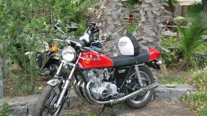 Suzuki   (2)