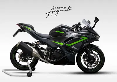 Kawasaki Ninja 500 SE (2024 - 26) - Annuncio 10003173