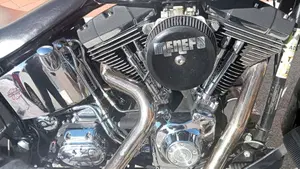 Harley-Davidson   (9)
