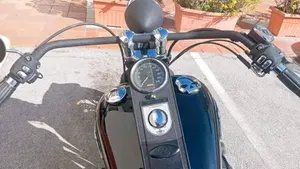 Harley-Davidson   (12)