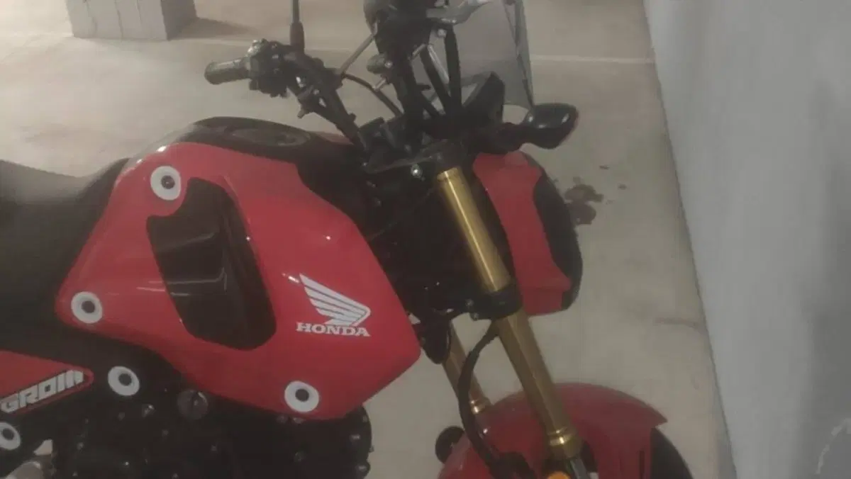 Honda MSX 125 Grom (2021 - 26)  (3)