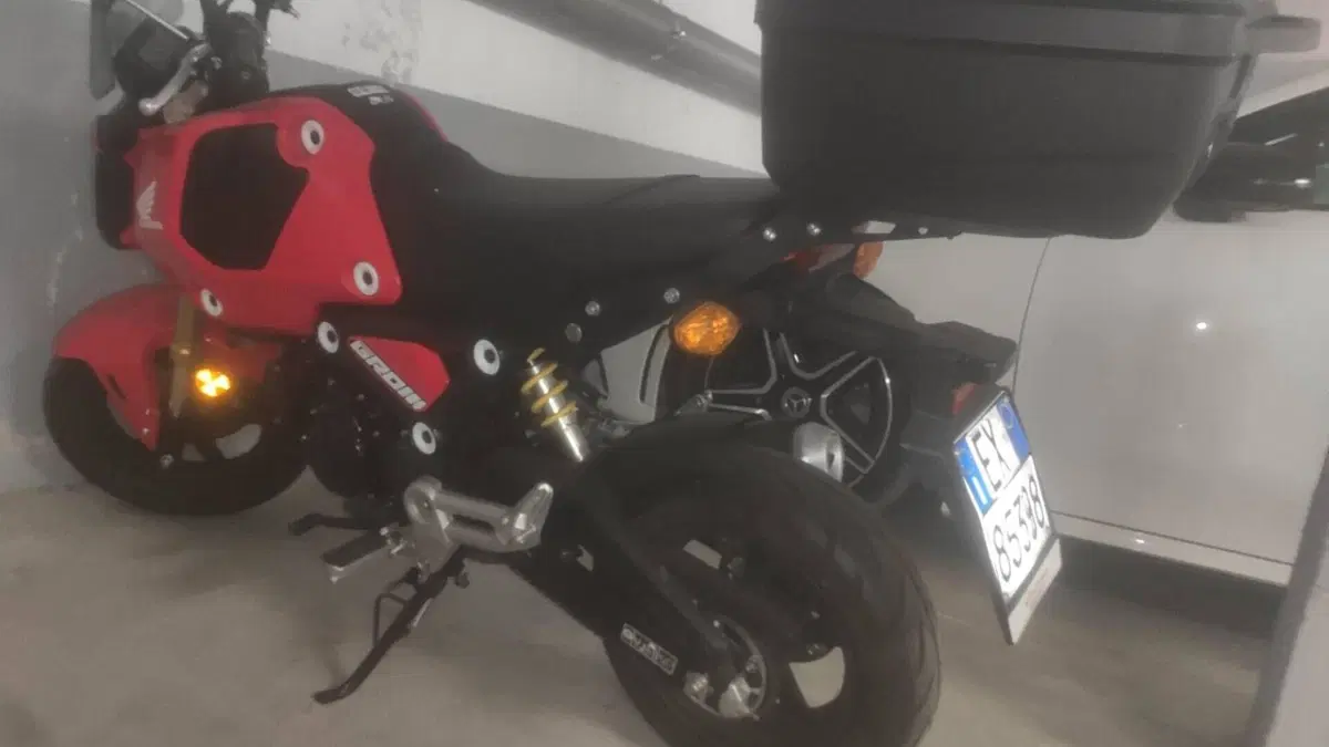 Honda MSX 125 Grom (2021 - 26)  (4)