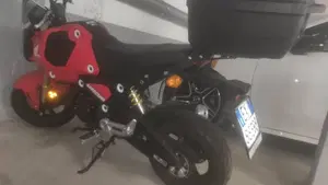 Honda MSX 125 Grom (2021 - 26)  (4)