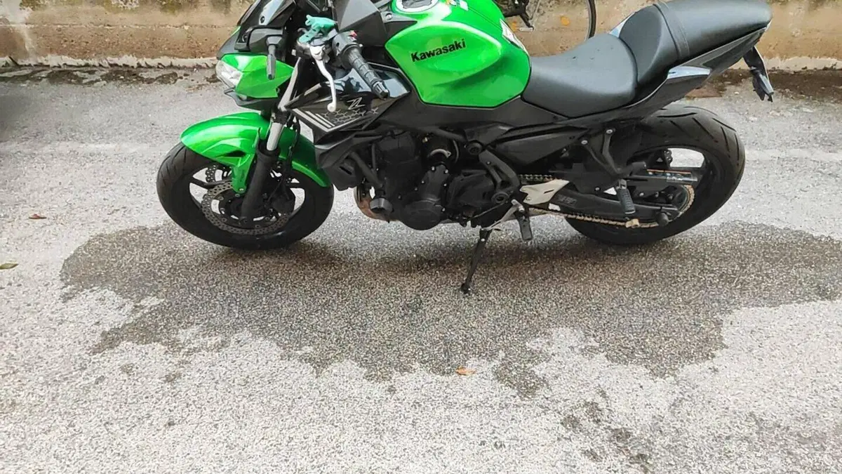 Kawasaki Z 650 Sport (2021 - 24)  (4)
