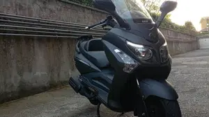 Sym Joymax 300 EVO f.i.  (3)