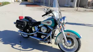 Harley-Davidson   (4)