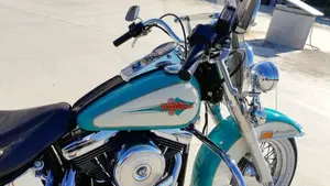 Harley-Davidson   (6)