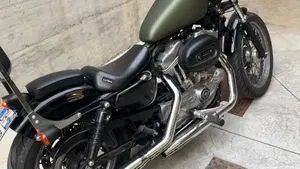 Harley-Davidson 883 (2006 - 07) - XL  (6)