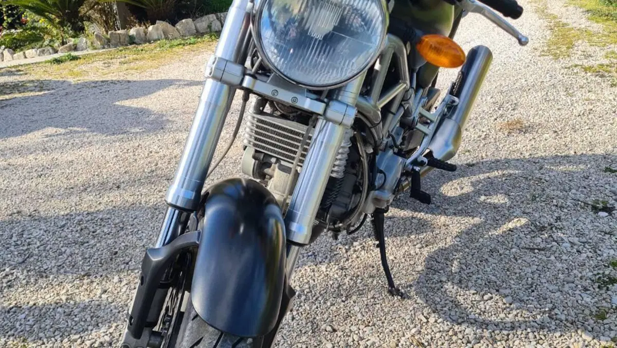 Ducati Monster 1000 DS (2003 - 05)  (2)