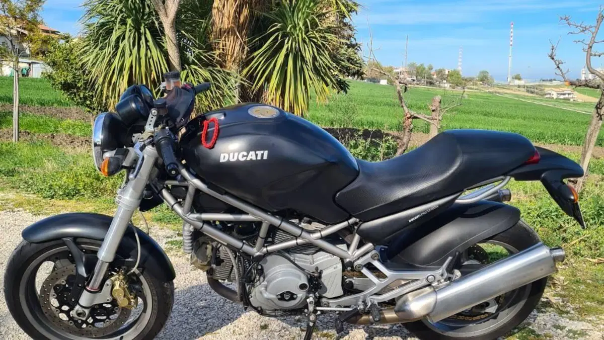 Ducati Monster 1000 DS (2003 - 05)  (5)