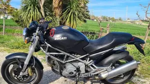 Ducati Monster 1000 DS (2003 - 05)  (5)