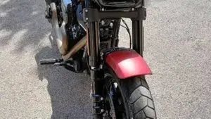 Harley-Davidson 114 Fat Bob (2018 - 20) - FXFBS  (3)