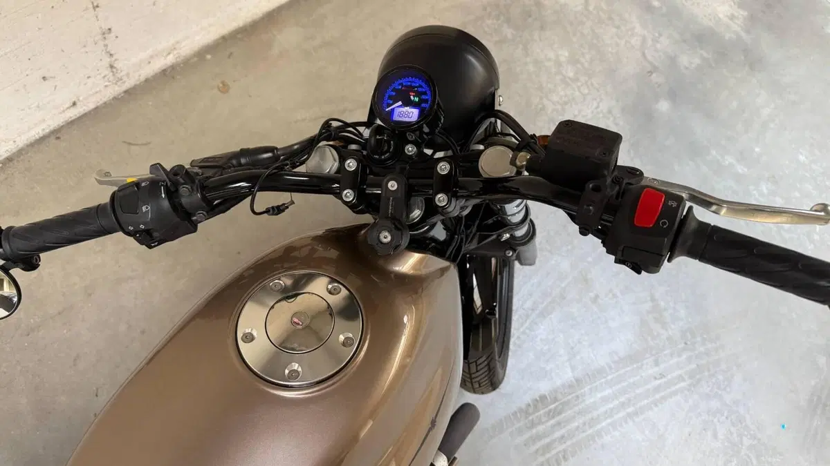 Moto Guzzi V7 Classic (2008 - 12)  (7)