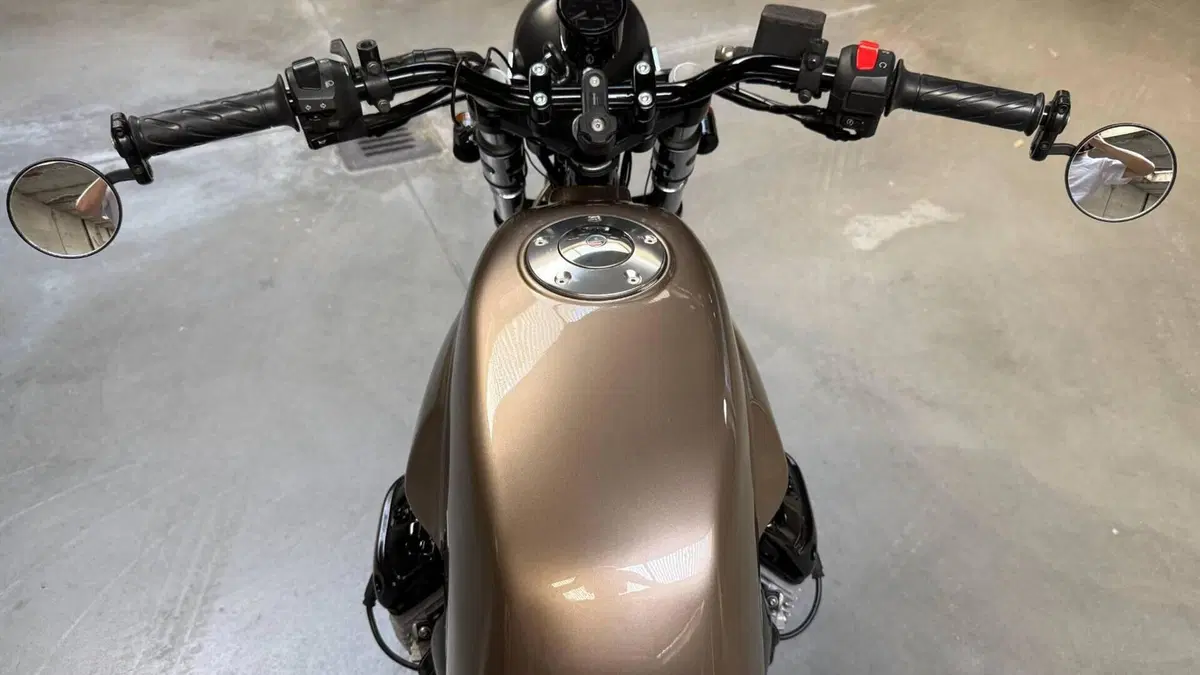 Moto Guzzi V7 Classic (2008 - 12)  (10)
