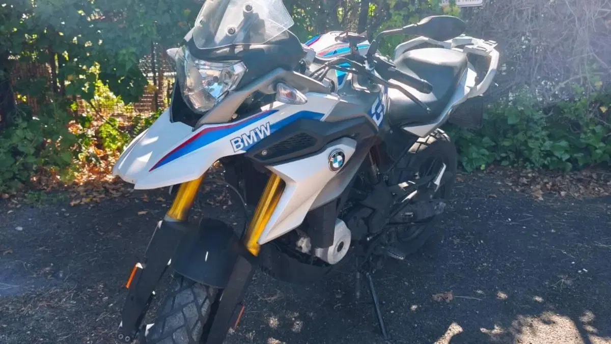 Bmw G 310 GS (2017 - 20) 