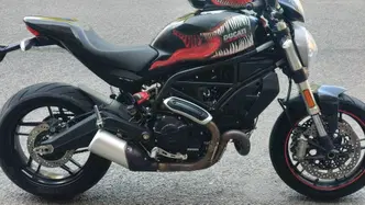 Ducati Monster 797 (2017 - 18) usata