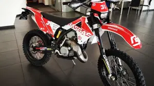 GASGAS EC 125 2T (2009)  (9)