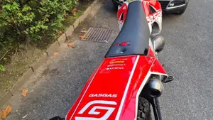 GASGAS EC 125 2T (2009)  (3)