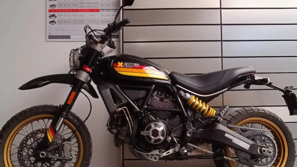 Ducati Scrambler 800 Desert Sled (2017 - 20)  (3)