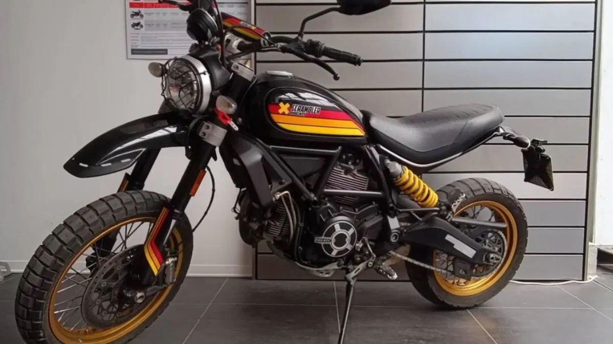 Ducati Scrambler 800 Desert Sled (2017 - 20)  (4)