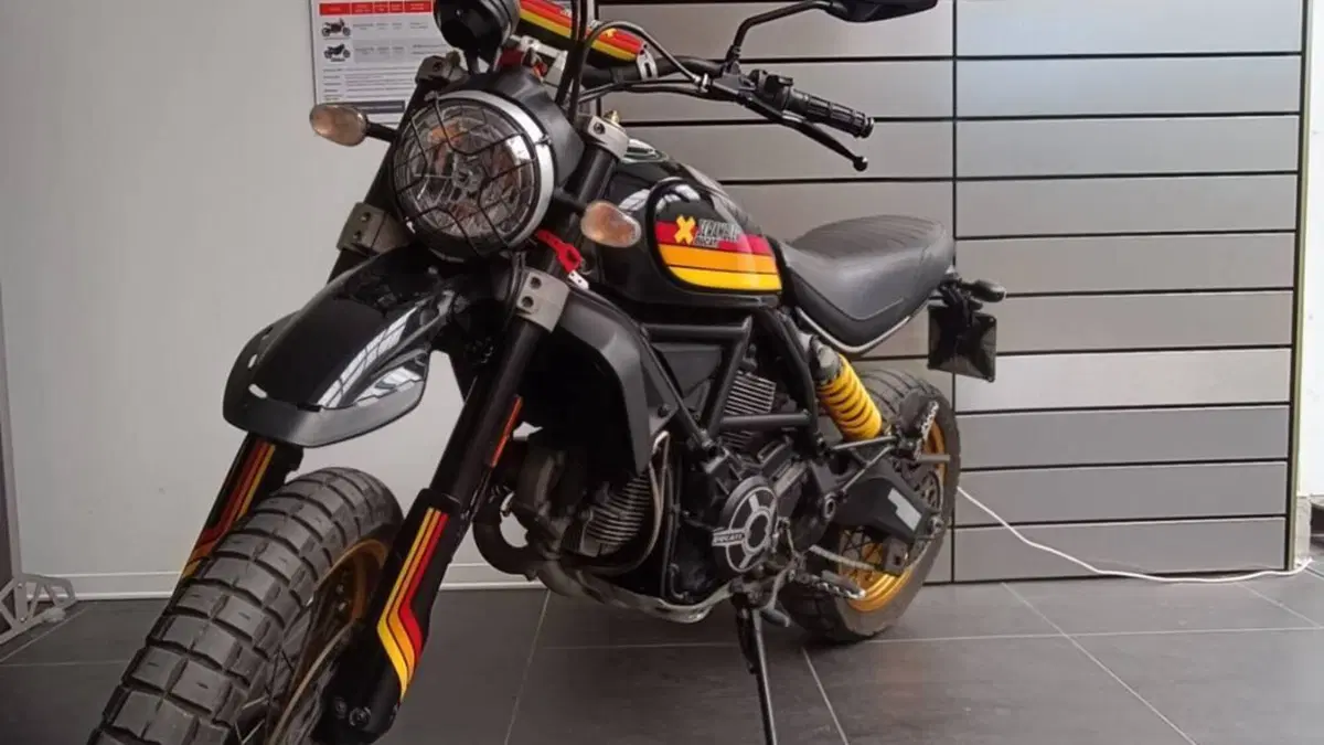 Ducati Scrambler 800 Desert Sled (2017 - 20)  (5)
