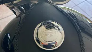 Harley-Davidson 1200 Custom (2007 - 13) - XL 1200C  (8)