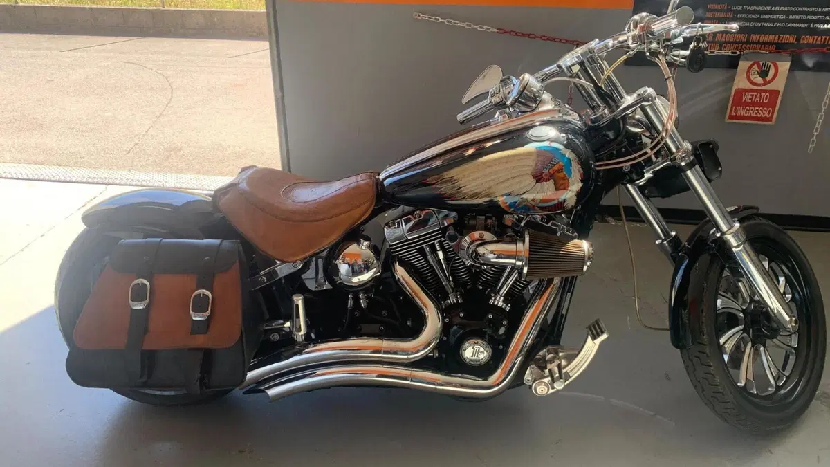Harley-Davidson 1584 Rocker C (2009 - 11) - FXCWC 
