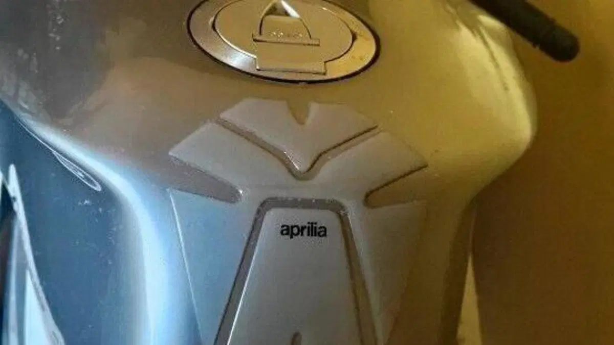 Aprilia RSV 1000 (2003 - 04)  (10)
