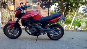 Aprilia Shiver (2008 - 10)  (9)